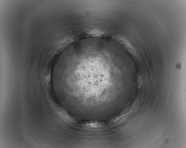 X0000100380365200806131105