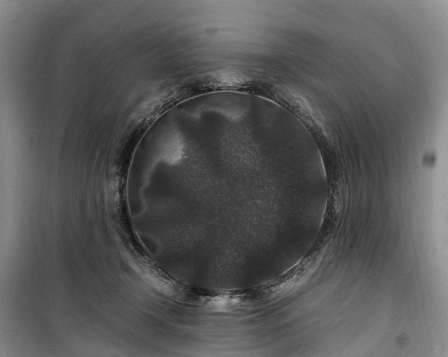 X0000100380366200806131105