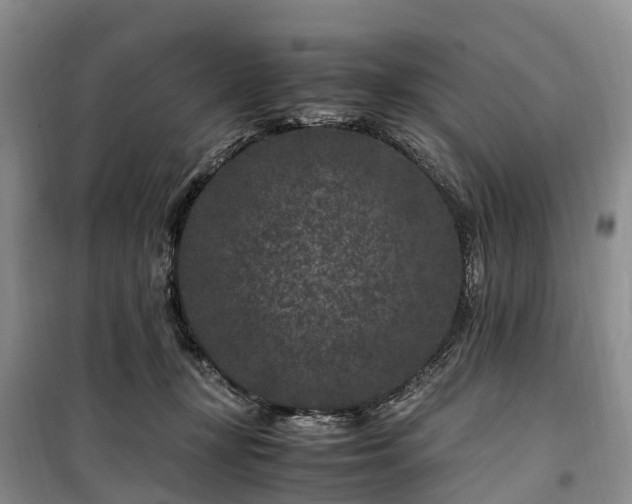 X0000100380367200806131105