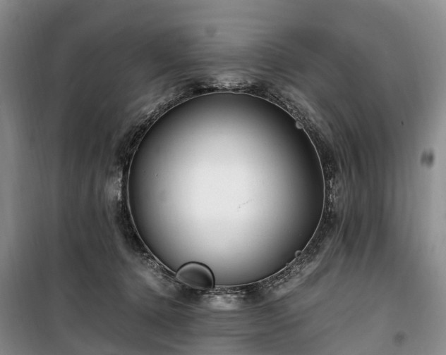 X0000100380368200806131105