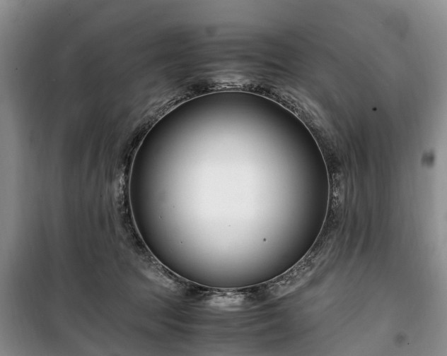 X0000100380369200806131105