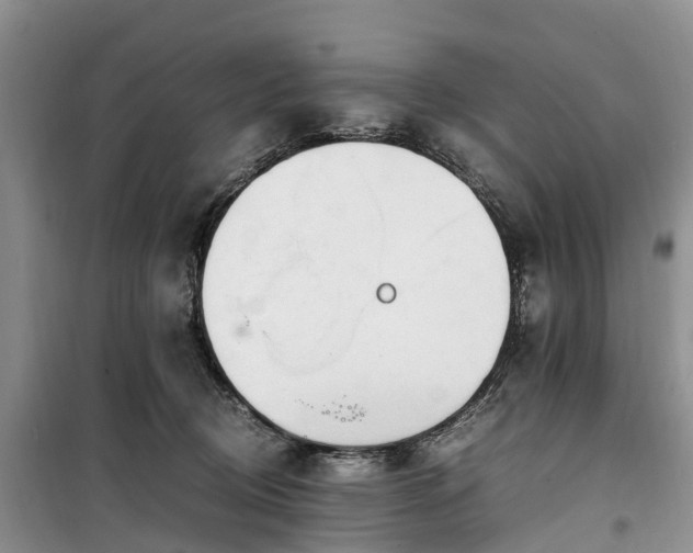 X0000100380370200806131105