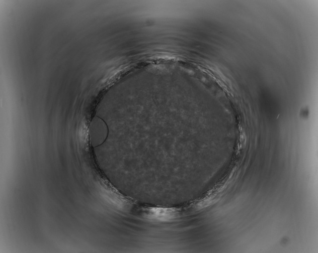 X0000100380371200806131105