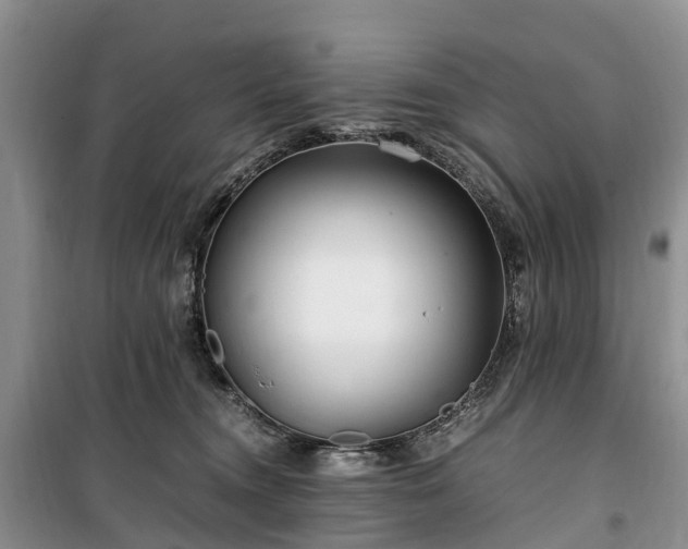 X0000100380372200806131105