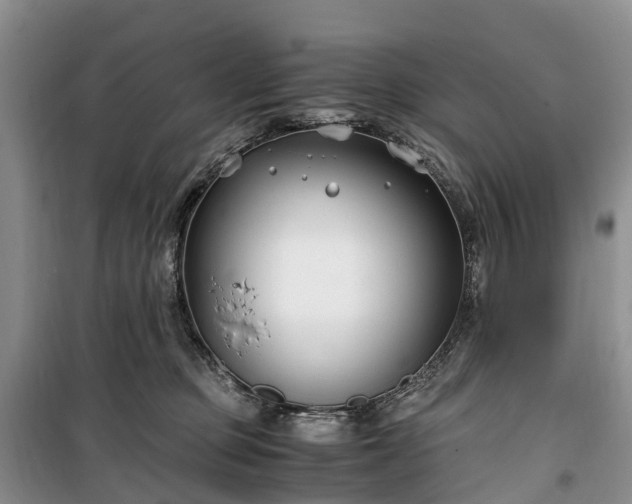X0000100380373200806131105