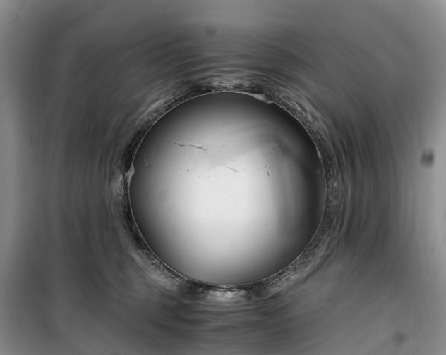 X0000100380375200806131105