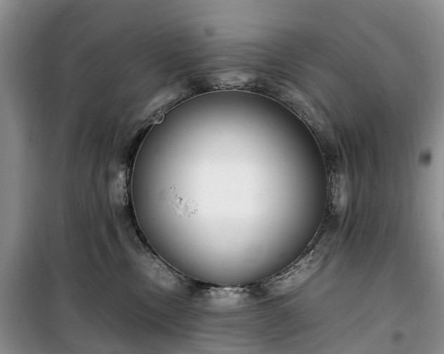 X0000100380378200806131105