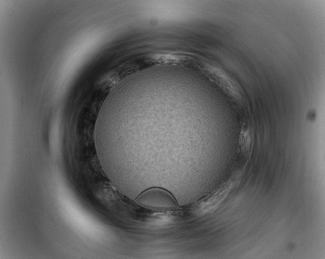 X0000100380381200806131105