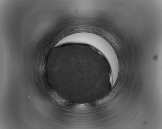 X0000100380382200806131105