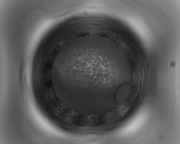 X0000100380383200806131105
