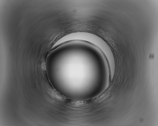 X0000100380384200806131105