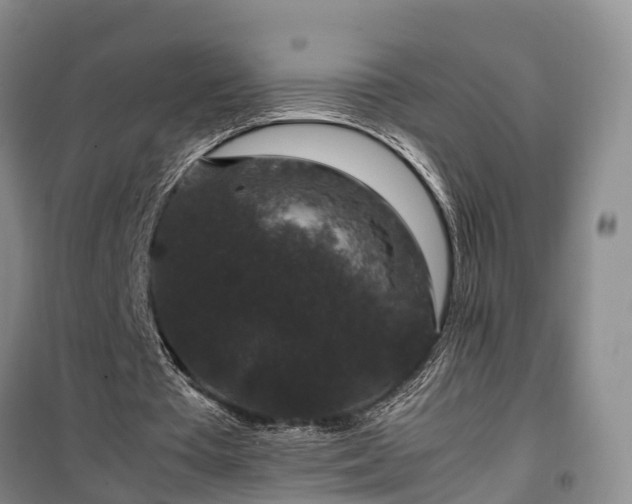 X0000100380385200806131104