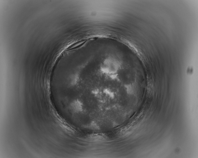 X0000100380386200806131104