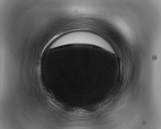 X0000100380387200806131104