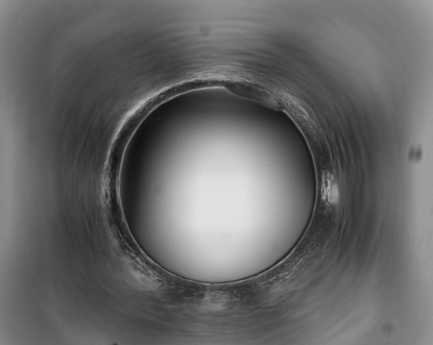 X0000100380388200806131104