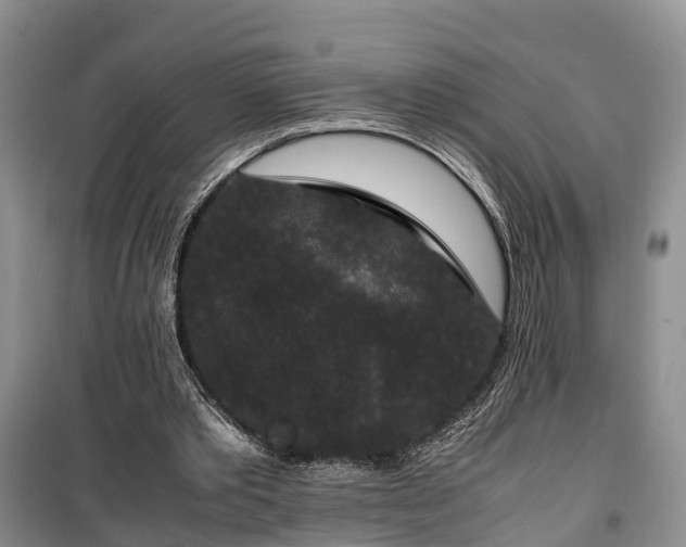 X0000100380389200806131104