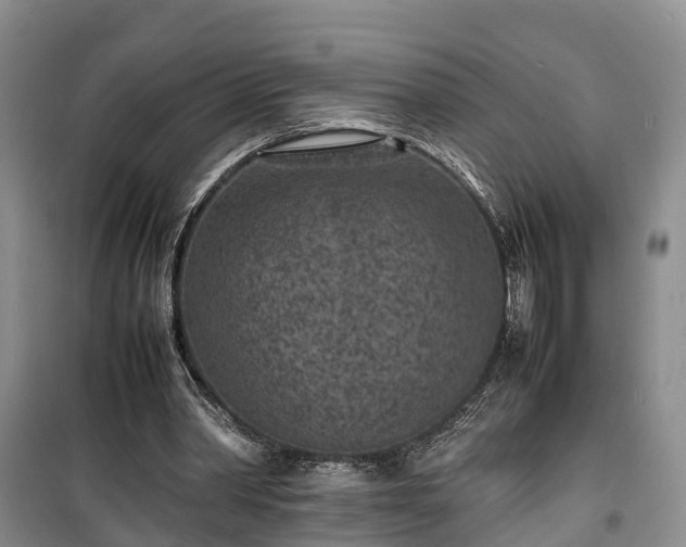 X0000100380390200806131104