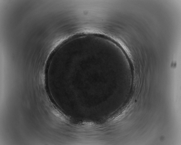 X0000100380391200806131104