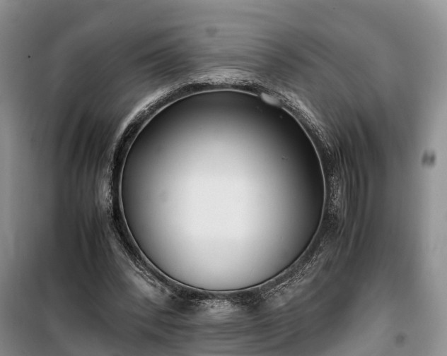 X0000100380392200806131104