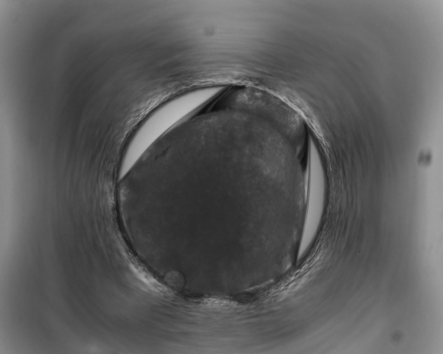 X0000100380393200806131104