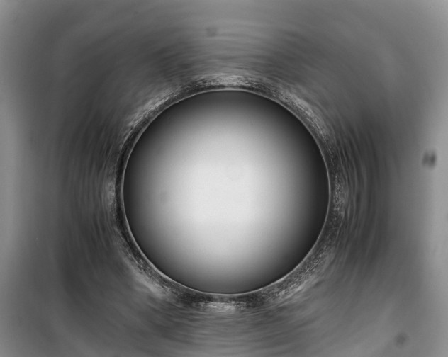 X0000100380394200806131104