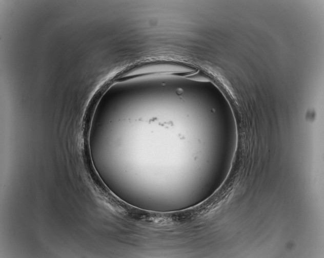 X0000100380395200806131104