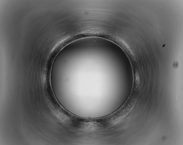 X0000100380396200806131104