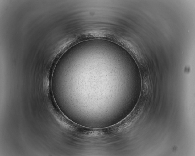 X0000100380398200806131104