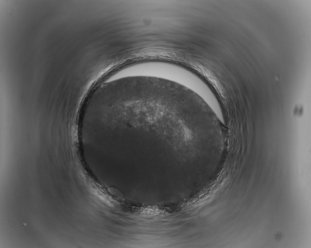 X0000100380399200806131104