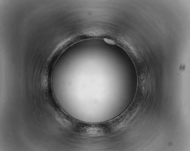 X0000100380400200806131104