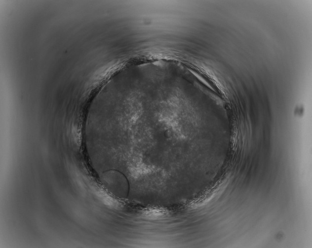 X0000100380402200806131104