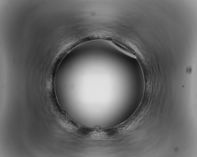 X0000100380403200806131104