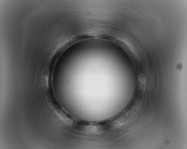 X0000100380404200806131104
