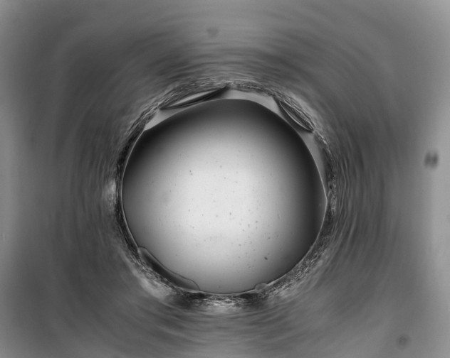 X0000100380405200806131104