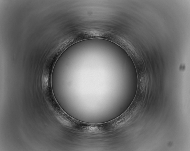 X0000100380406200806131104