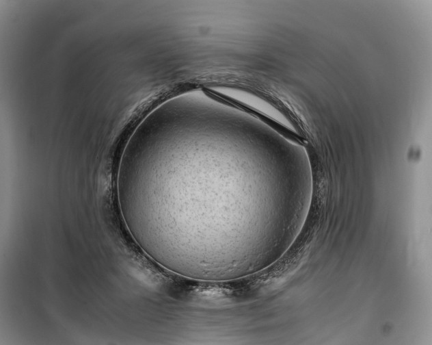 X0000100380407200806131104