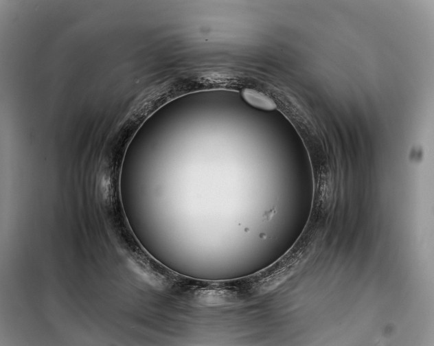 X0000100380408200806131104