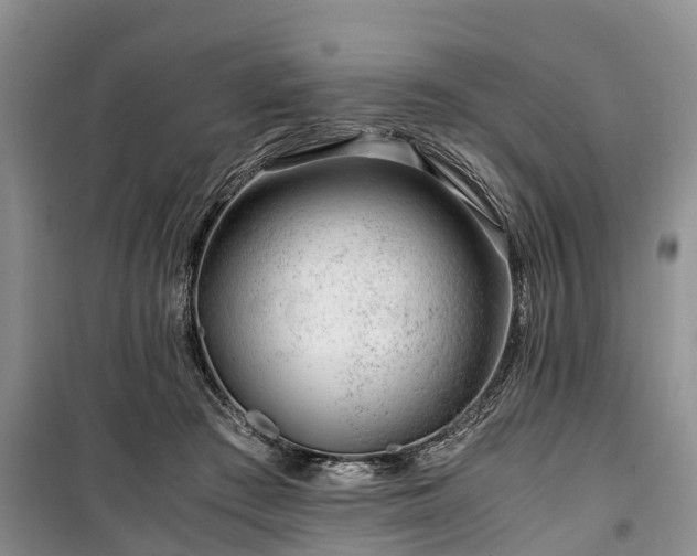 X0000100380409200806131104