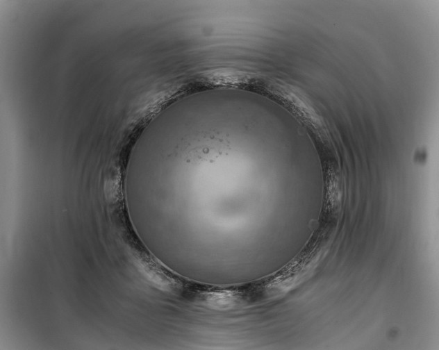 X0000100380411200806131104