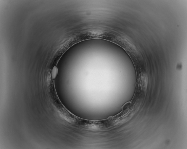 X0000100380412200806131104