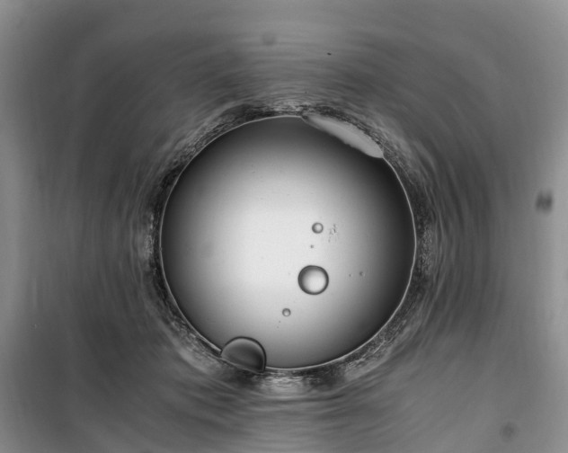 X0000100380413200806131104