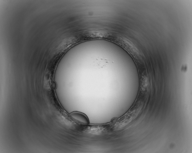 X0000100380414200806131104