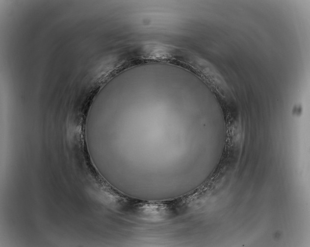 X0000100380415200806131104