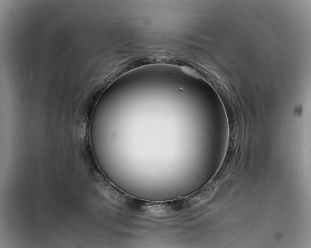 X0000100380417200806131104