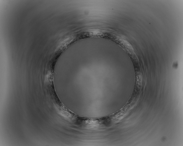X0000100380419200806131104