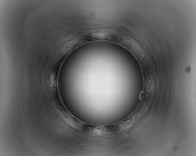 X0000100380420200806131104