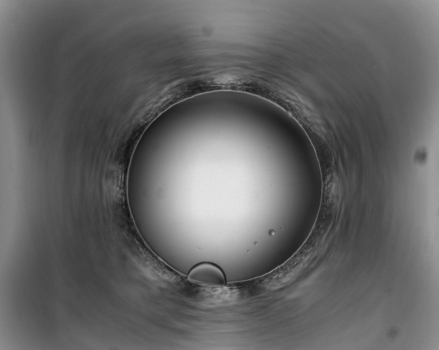 X0000100380421200806131104