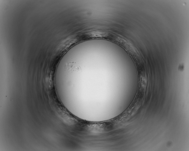X0000100380422200806131104