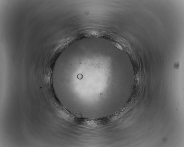 X0000100380423200806131104