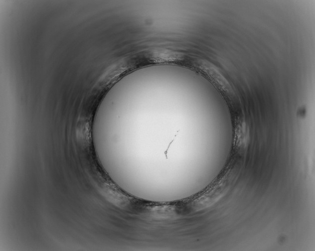 X0000100380426200806131104